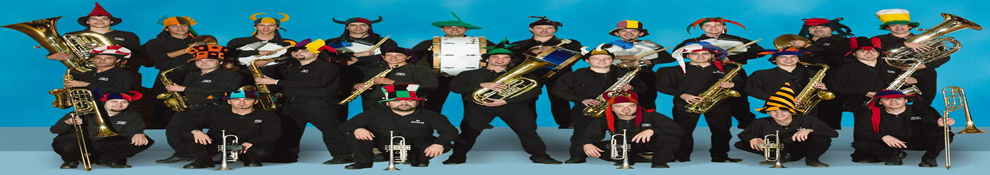 c-fakepath-25-musicos.medirflash.png