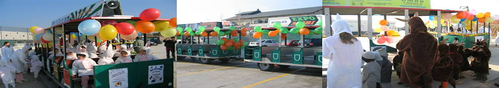 c-fakepath-tren-carnaval.medirflash.png
